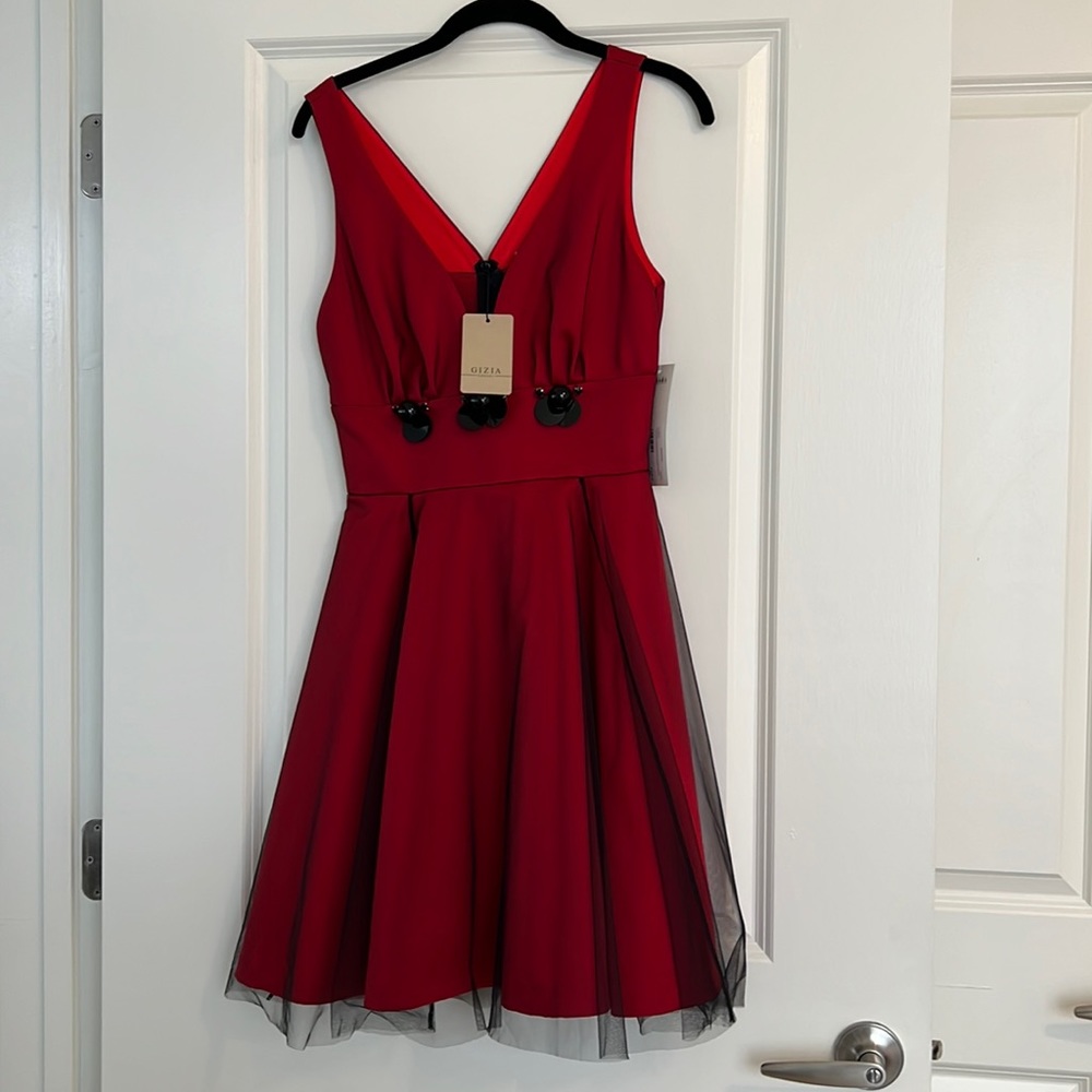 Gorgeous red dress with tag